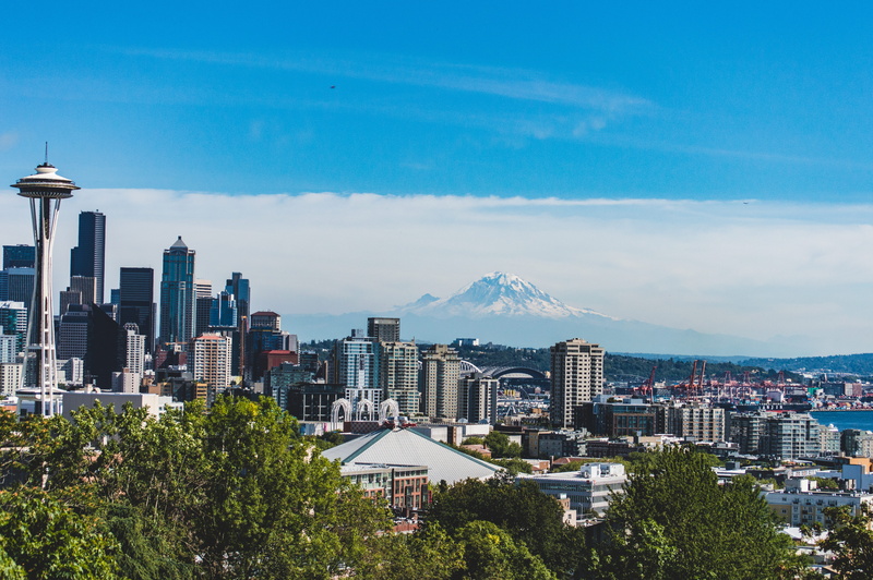washington, plant, pacific north west, mountain, travel destinations, rainier, high angle view, mt rainier, mountain peak, residential district, building