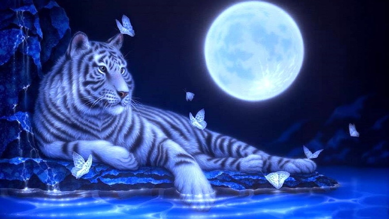 illuminated, 720P, Blau, mammal, sphere, sky, feline, space, Deutschland, astronomy, moon, no people, Mond, animal themes, planetary moon, blue, Tiger