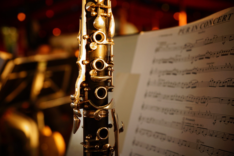 arts culture and entertainment, performance, publication, clarinet, performing arts event, deutschland, indoors, instrument, text, communication, musical note