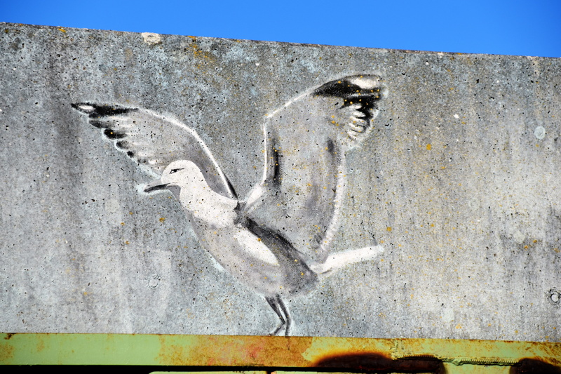 glückstadt, animal body part, sea gull, outdoors, sky, urban art, art and craft, architecture, animal representation, animal head, street art, graffiti