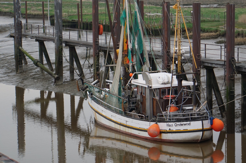 wood - material, day, ebb, wooden post, shrimp, fishing port, water, sailboat, 5K, moored, fischer, fishing boat, buoy, building exterior, mode of transportation