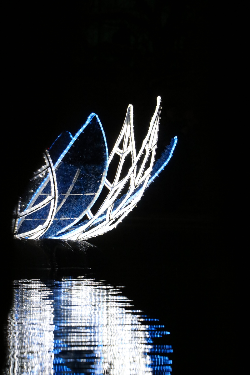 architecture, lichter, nature, flower, winter, christmas, lighted, 5K, blue, nacht, motion, business, dark, black background, water, pattern, transportation