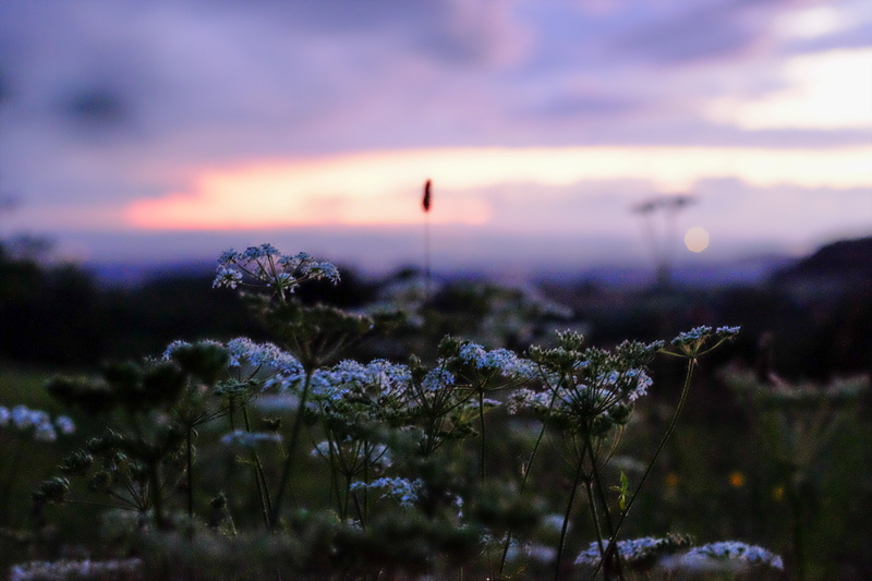nature, 4K, oberpfalz, sunset, night  light, photography, nacht, bayern, evening, light  darkness, landscape, macro photography, Nightfall, bavaria, blue hour