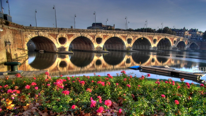 no people, 1080P, flower, plant, arch, arch bridge, Pont-Neuf, France, river, flowering plant, freshness, bridge - man made structure, outdoors, built structure