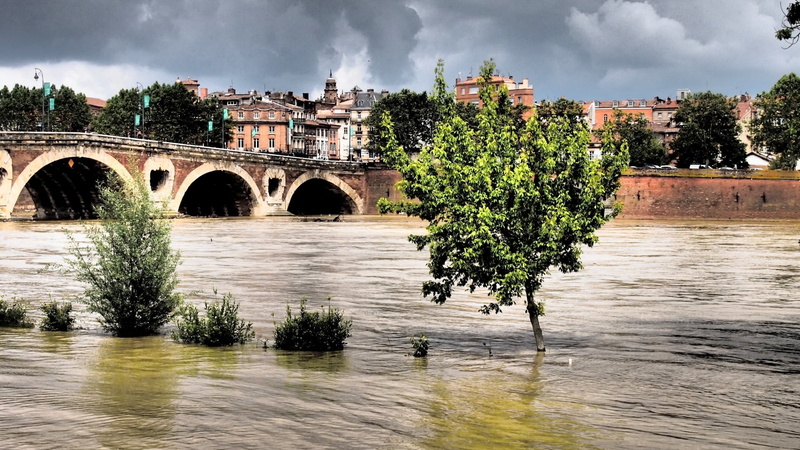France, Toulouse, arch, Pont-Neuf, arched, nature, tree, cloud - sky, water, day, city, built structure, plant, sky, bridge, architecture, 1080P, Garonne