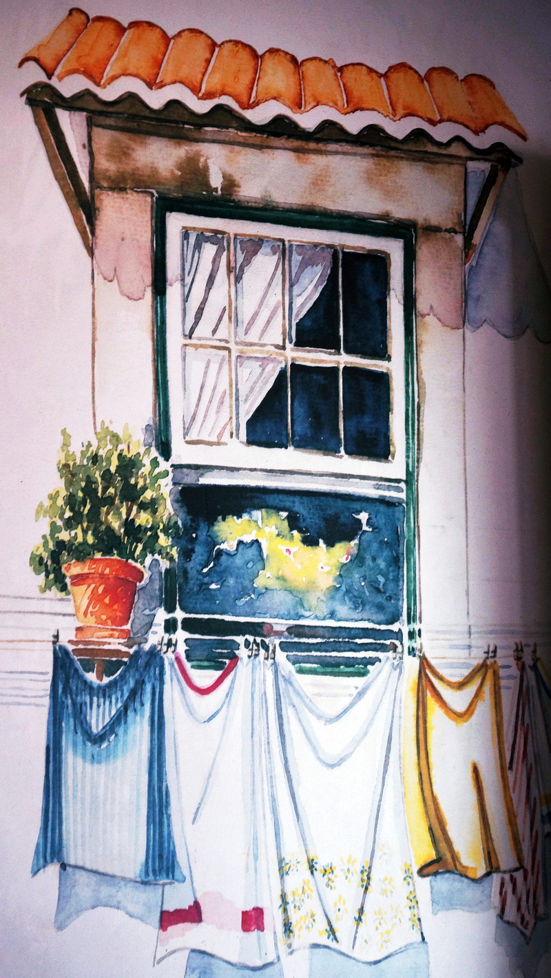 nature, reflection, flower, street, 5K, graffiti, flowering plant, plant, window frame, architecture, art, built structure, curtain, outdoors, potted plant