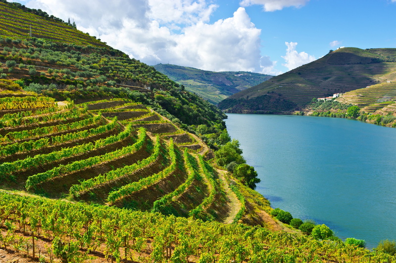 douro, nature, rivers, 4K, mountains, fields, portugal