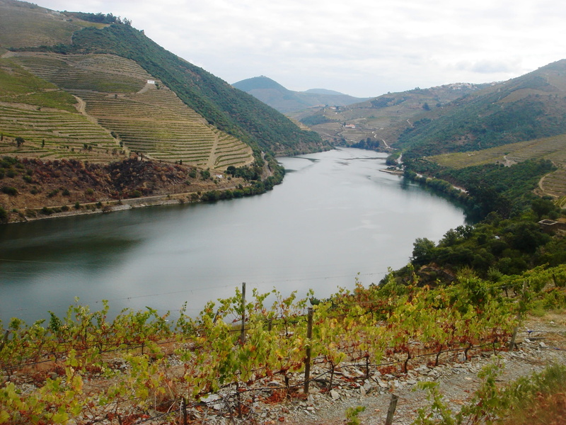 day, beauty in nature, water, mountain, douro landscape, idyllic, architecture, scenics - nature, built structure, river, Vineyards, nature, tranquil scene