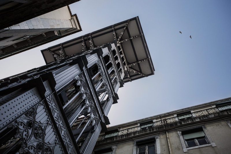 built structure, viewpoint - lift lada ribeira, porto, animal, bird, flying, outdoors, low angle view, height, animals in the wild, window, building, sky