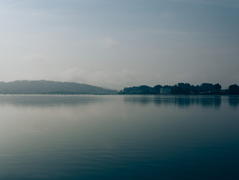 minimal, lake, waterfront, tranquility, forest, fog, cloud - sky, tranquil scene, reflection, sky, idyllic, nature, water, beauty in nature, trees, óis da ribeira