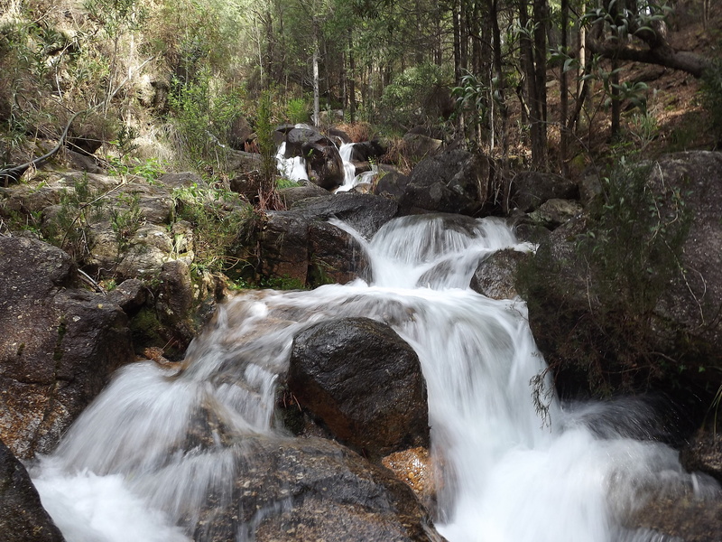 outdoors, flowing, rock, waterfall, 4K, tree, no people, solid, ribeira, flowing water, forest, non-urban scene, serra, rio, stream - flowing water, nature