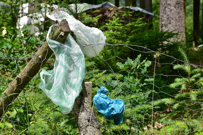 bags, bag, non recyclable waste, garbage collection, protection, hanged, outdoors, plant part, dirt, thrown away, Plastic Waste, plastic, leaf, Garbage