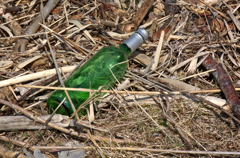 green color, stick - plant part, disposal, day, twig, environmental issues, sunlight, no people, garbage, plant, leaf, beverages, messy, made, nature, bottles