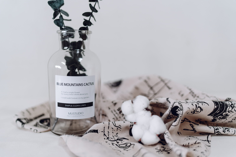 simplicity, celebration, flower, eucalyptu, plant, leaves, sony, white, decoration, minimal, indoor, close-up, leaf, vase, no People, bottle, clear, 5K