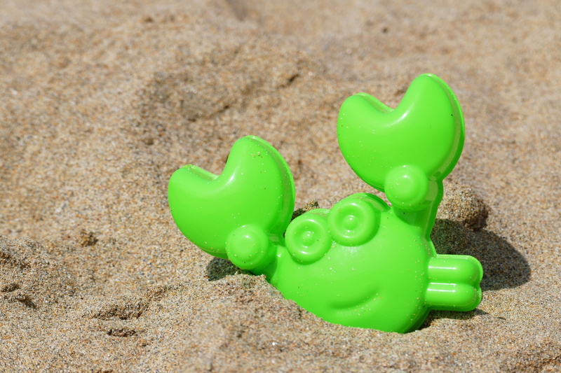 animal, kids, ocean, creature, sea, natural, sand, waves, water, food, holiday, shore, high angle view, positive emotion, animal representation, shell