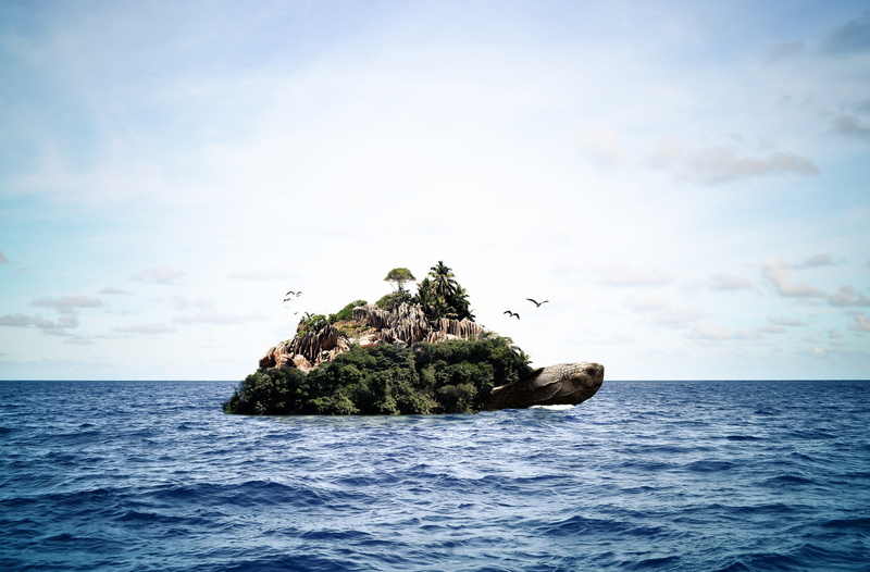wildlife, Photoshop, Turtle, rock, scenics - nature, 2K, no people, Aero, horizon over water, Wild, beauty in nature, Ocean, photomanipulation, Design