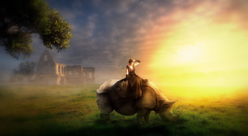 horse, mammal, photoshop, pets, latesunset, riding, paradise, Aero, herbivorous, late, domestic, photomanipulation, parimal, livestock, rhinoceros, sky