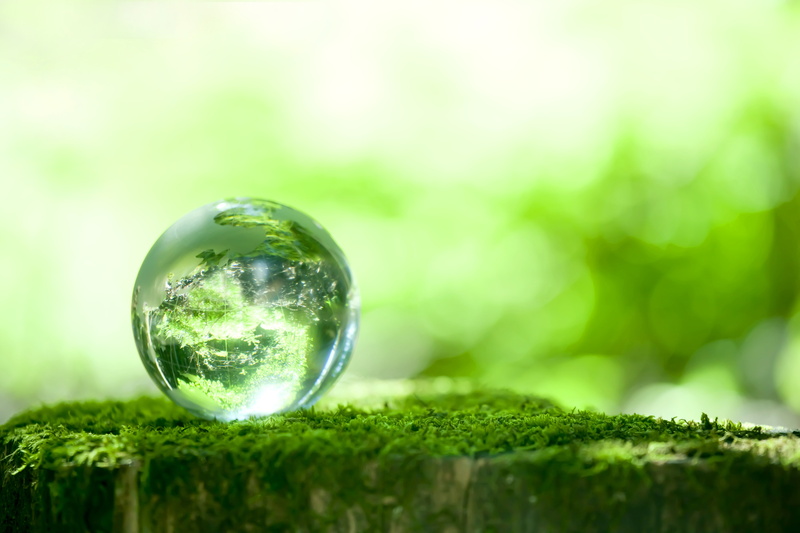 land, world Map, greens, environmental Conservation, outdoors, environment, earth, day, decor, transparent, plant, bokeh, close-up, glass - Material, summer