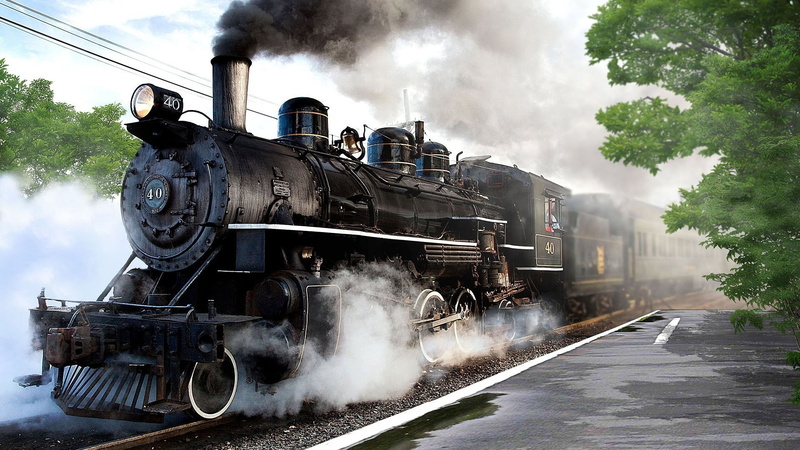 steam locomotive, steam, day, plant, nature, passenger train, steam train, 1080P, track, vintage, rail transportation, train, locomotive, land vehicle