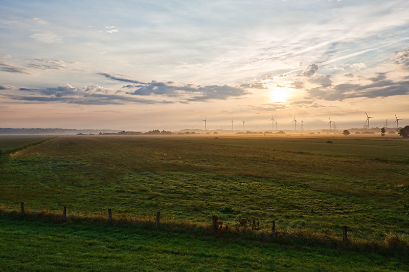 grass, cloud - sky, water, sunrise, 5K, growth, nature, bremen, plant, sun, reflection, farm, weser, mood, river, scenics - nature, beauty in nature, environment