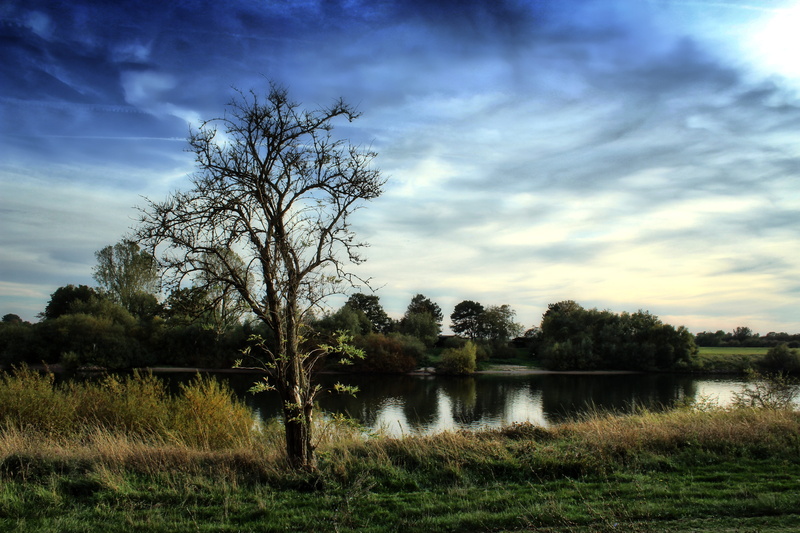 tranquil scene, clouds, bare tree, autumn, outdoors, weser, scenics - nature, landscape, blue sky, tree, 5K, grass, blue, kahl, middle weser, tranquility