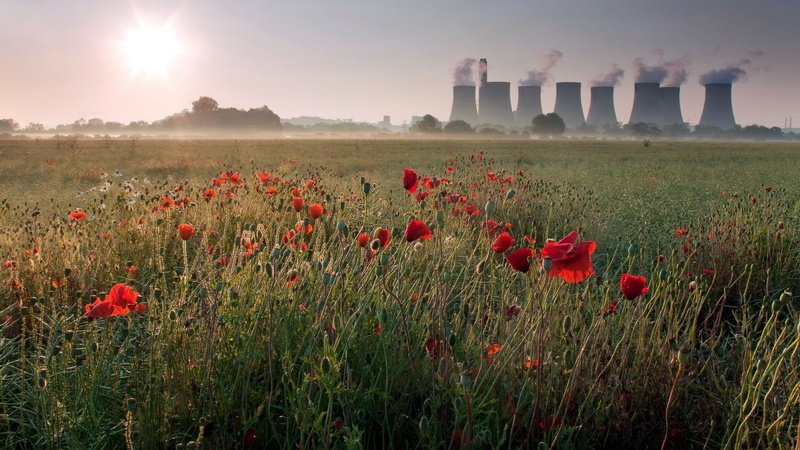 environmental issues, sun, field, beauty in nature, plant, 1080P, flowering plant, land, air pollution, day, pollution, nature, architecture, landscape
