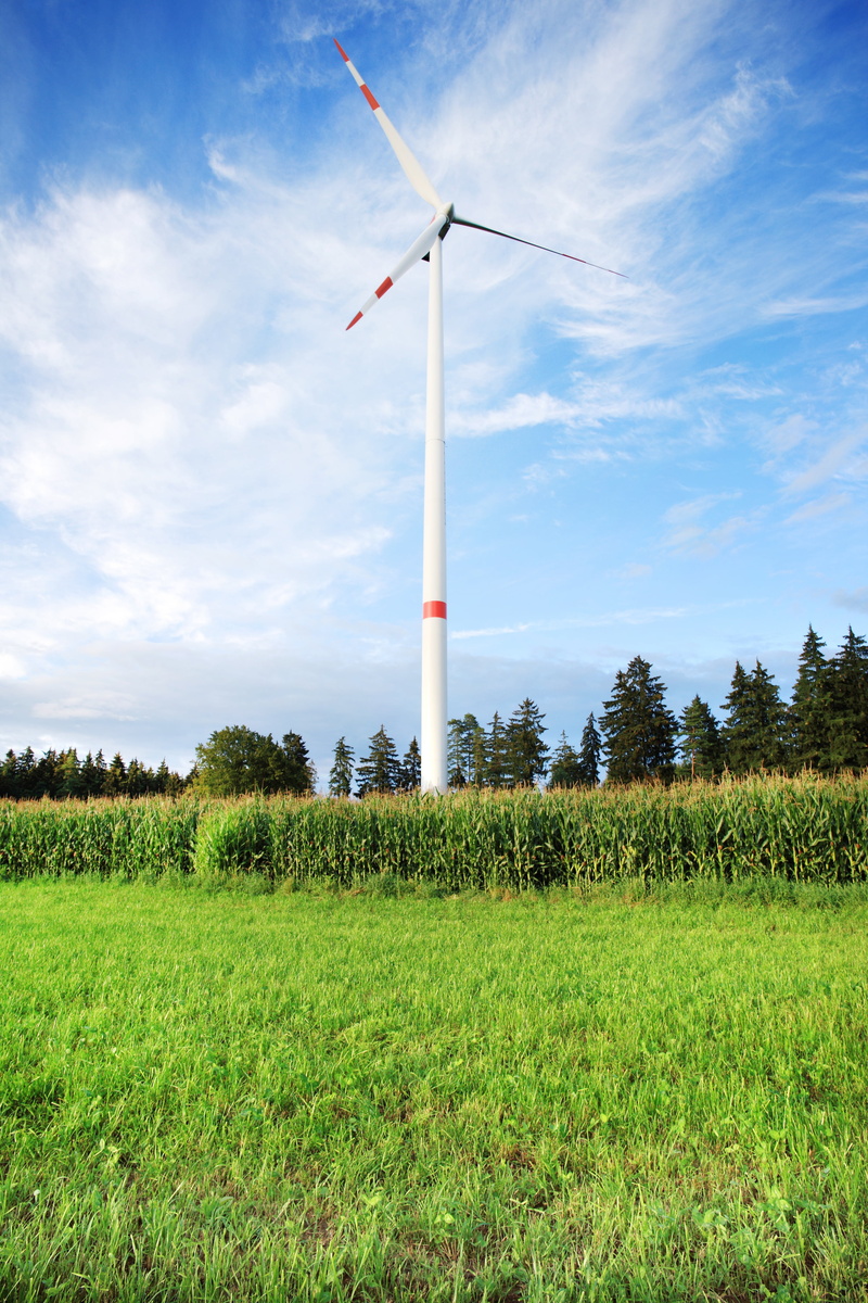 outdoors, wind power plant, wind park, wing, green, rotor, energy revolution, electricity production, 4K, electricity, forward, agriculture, wind energy