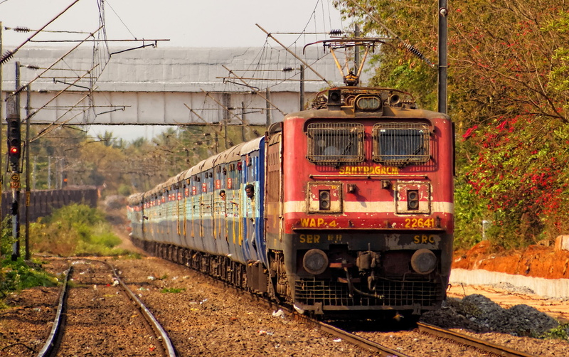 train - vehicle, nature, passenger train, railroad track, mode of transportation, power supply, India, land vehicle, electric locomotives, cable, plant