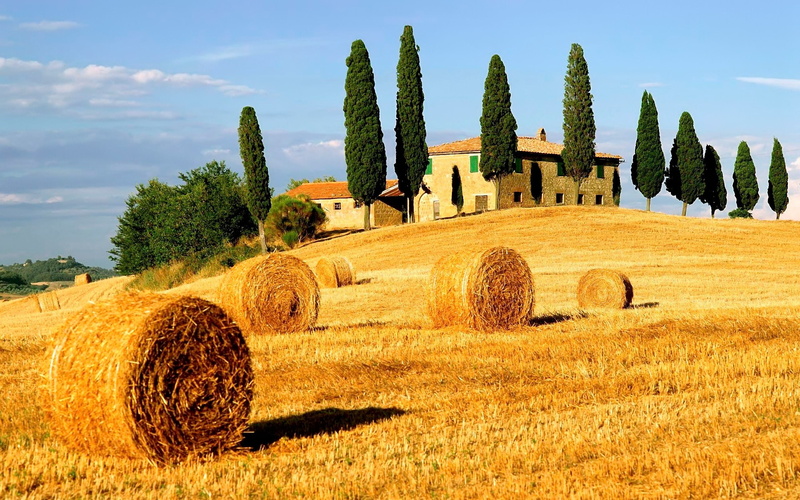 beauty In Nature, rural Scene, farm, tranquil scene, field, cypress Tree, bales, straw, hay, brown, europe, day, landscape, grass, outdoors, summer, italy