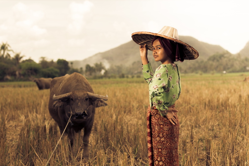 mammal, landscape, outdoors, child, agriculture, buffalo, paddy field, farmer, one person, beside, land, farm girl, rural scene, girl, standing, gadis desa