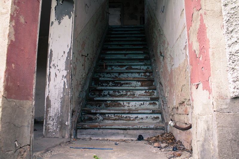decay, Building, deterioration, domestic animals, obsolete, no people, 5K, industrial building, abandoned, industrial, built structure, plant, indoors