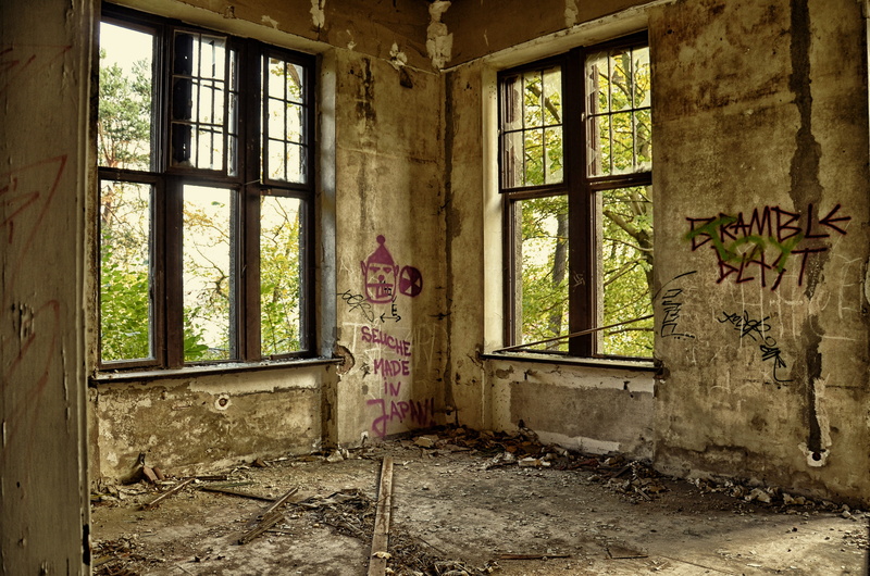brown, decline, wall - building feature, frames, ailing, ruin, obsolete, day, messy, indoors, bad condition, run-down, architecture, damaged, villa, leave