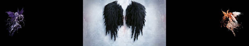 5K, angel, dark, black, ailes, anges, multiple, ange, wings, noir, aile, screen, angels, monitor, tripple, multi