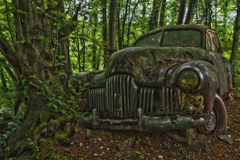 rusty, oldtimer, nature, lost place, car, history, rust, lost places, tree, day, no people, metal, scrap car, plant, ruined, discarded, run-down, land vehicle