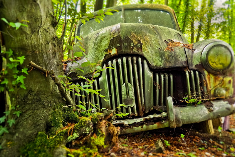 nature, ruined, holden fx standard, lost place, broken, turned off, vehicle, neglected, obsolete, nostalgia, motor vehicle, wrecked, metal, 4K, forget