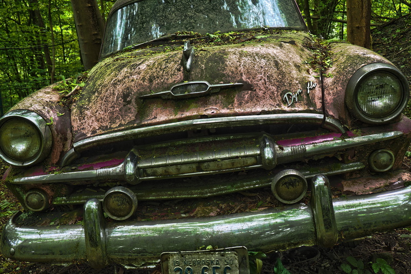 pforphoto, steel, 1950, plant, day, antique, stainless, old, pkw, buick, us-car, retired, scrap, weathered, scrap car, stainless karre, deterioration, old cars