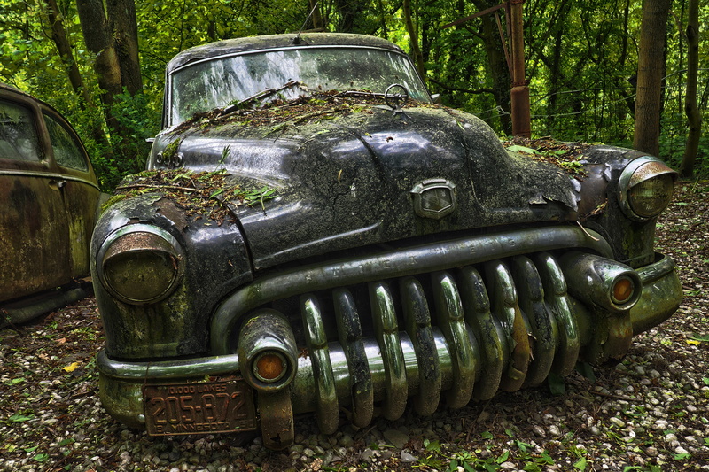 parked, land, turned off, tree, obsolete, car, forget, lost place, military, nature, transportation, vehicle, buick eight, stainless, nostalgia, outdoors