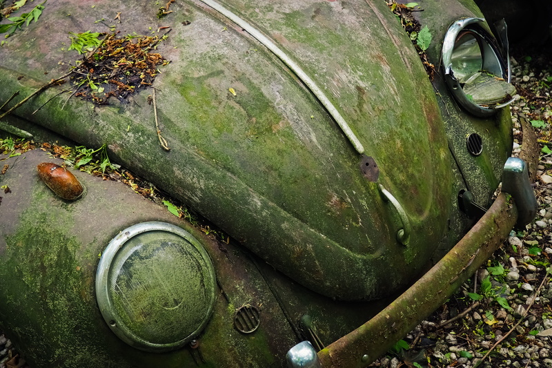 lost place, pforphoto, history, scrap, neglected, nature, 50s, retired, car wreck, rusty, vehicle, stainless, day, abandoned, forget, rust, vw, close-up