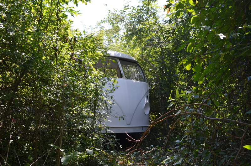 car, land, pforphoto, wild, bulli, bush, abandoned, no people, auto, vwt1, plant, oldtimer, land vehicle, growth, decay, forget, nature, car wreck, discarded