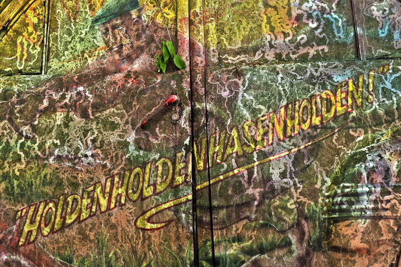 nostalgia, nature, handle, retired, animals in the wild, 4K, broken, oldtimer, old, leave, water, old cars, break up, tree, wreck, graffiti, multi colored