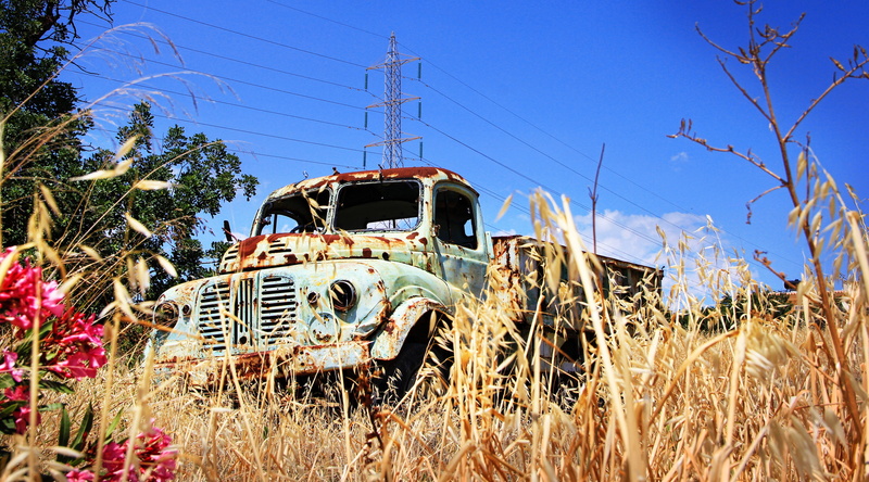 plant, Rusted, 5K, Break Up, rusty, mode of Transport, bad condition, auto, stainless, motor vehicle, no People, nature, Oldtimer, Scrap, obsolete, turned off