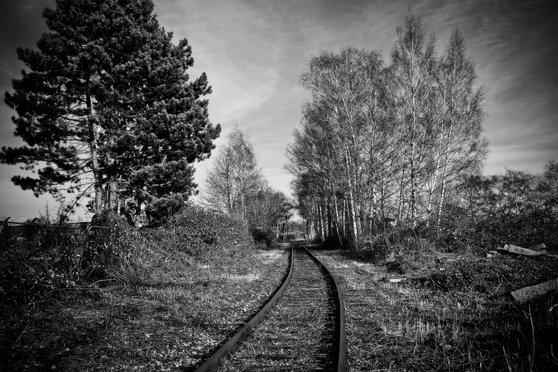 weathered, tree, scenics - nature, seemed, growth, diminishing perspective, track bed, tranquil scene, old, railway, still, loneliness, broken, plant, beauty in nature