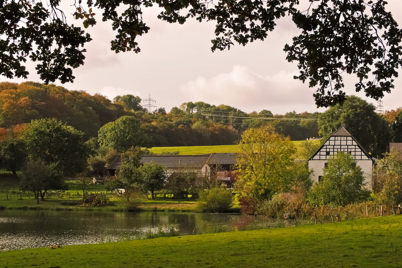 home, outdoors, forest, grass, plant, architecture, dusk, rest, sky, twilight, Farmhouse, lighting, tree, sunset, idyllic, relaxation, building, Landscape