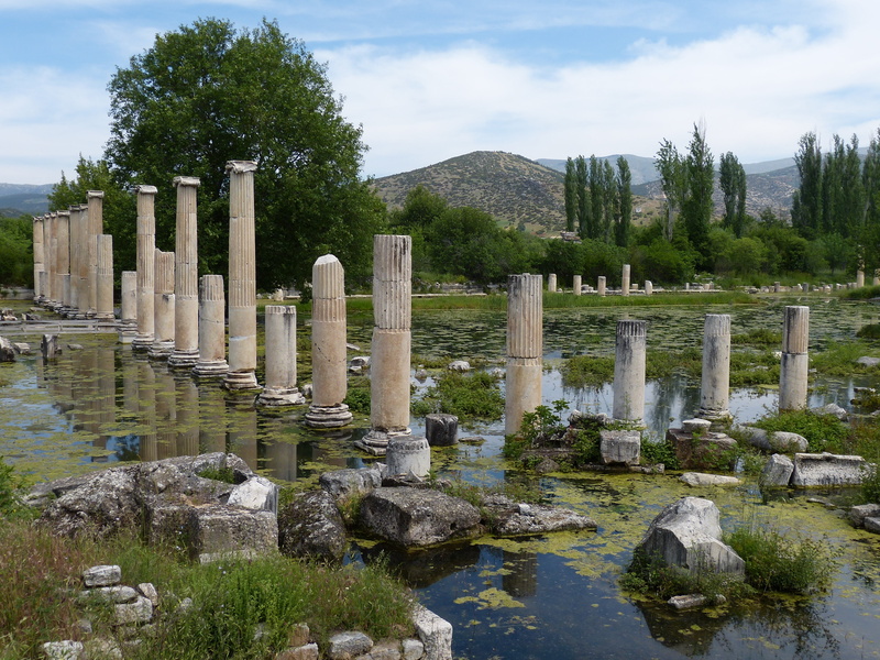 mountain, scenics - nature, aphrodisias, turkey, antiquity, tree, sky, beauty in nature, solid, architectural column, plant, nature, surrounded, day, tranquility