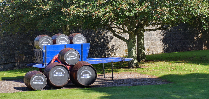 wheel, no people, day, growth, green color, cork, nature, jameson, cart, land, distillery, plant, barrels, ireland, sunlight, agriculture, outdoors, mode of transportation