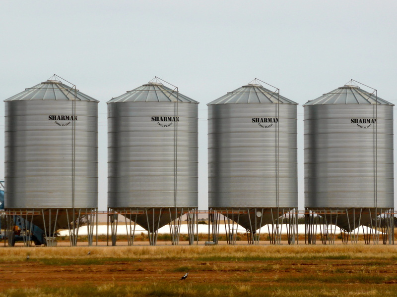 silo, industry, metal, built structure, food, wheat, plant, sky, building, container, harvest, land, storage, cereal, no people, day, text, outdoors, farm