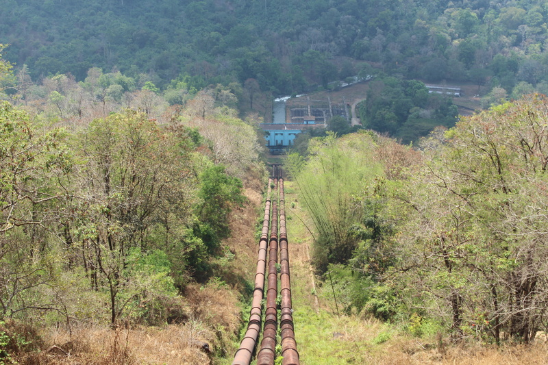 built structure, day, green color, 5K, petroleum, gas, industry, technology, pipeline, outdoors, forest, high angle view, gasoline, tranquility, pollution