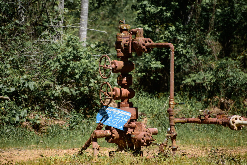 metal, rusty, field, transportation, no people, 5K, plant, forest, equipment, outdoors, rust, old, green color, gas line, industrial, valve, mammal, pipes