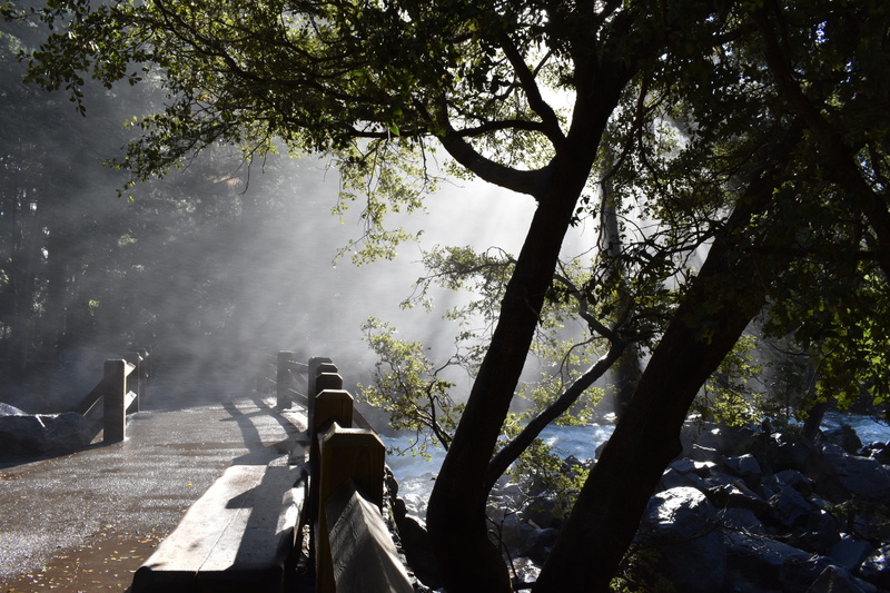 lifestyles, outdoors, park, wind, shafts of light, yosemite falls, tree trunk, 5K, plant, power, walkway, light, hike, forest, water, sitting, breeze