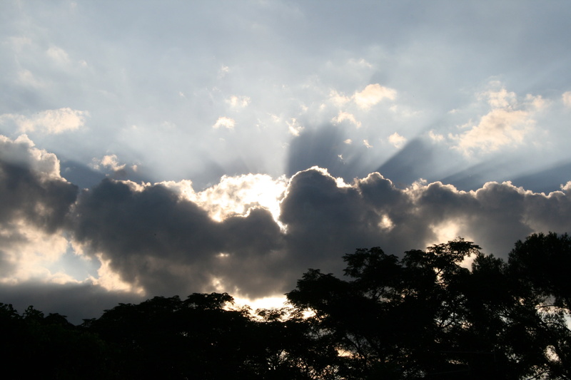 shining, bright, dark clouds, trees, silver edging, sun, cloudscape, tranquility, scenics - nature, nature, day, 4K, backgrounds, cloud - Sky, ominous